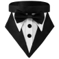 Preview: Chic: Hunde-Bandana im Smoking-Stil